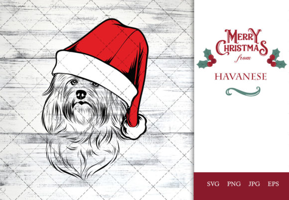Havanese Dog Santa Hat Crafts